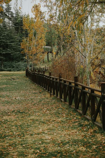 Sentiero nel bosco d'autunno con recinzione in legno