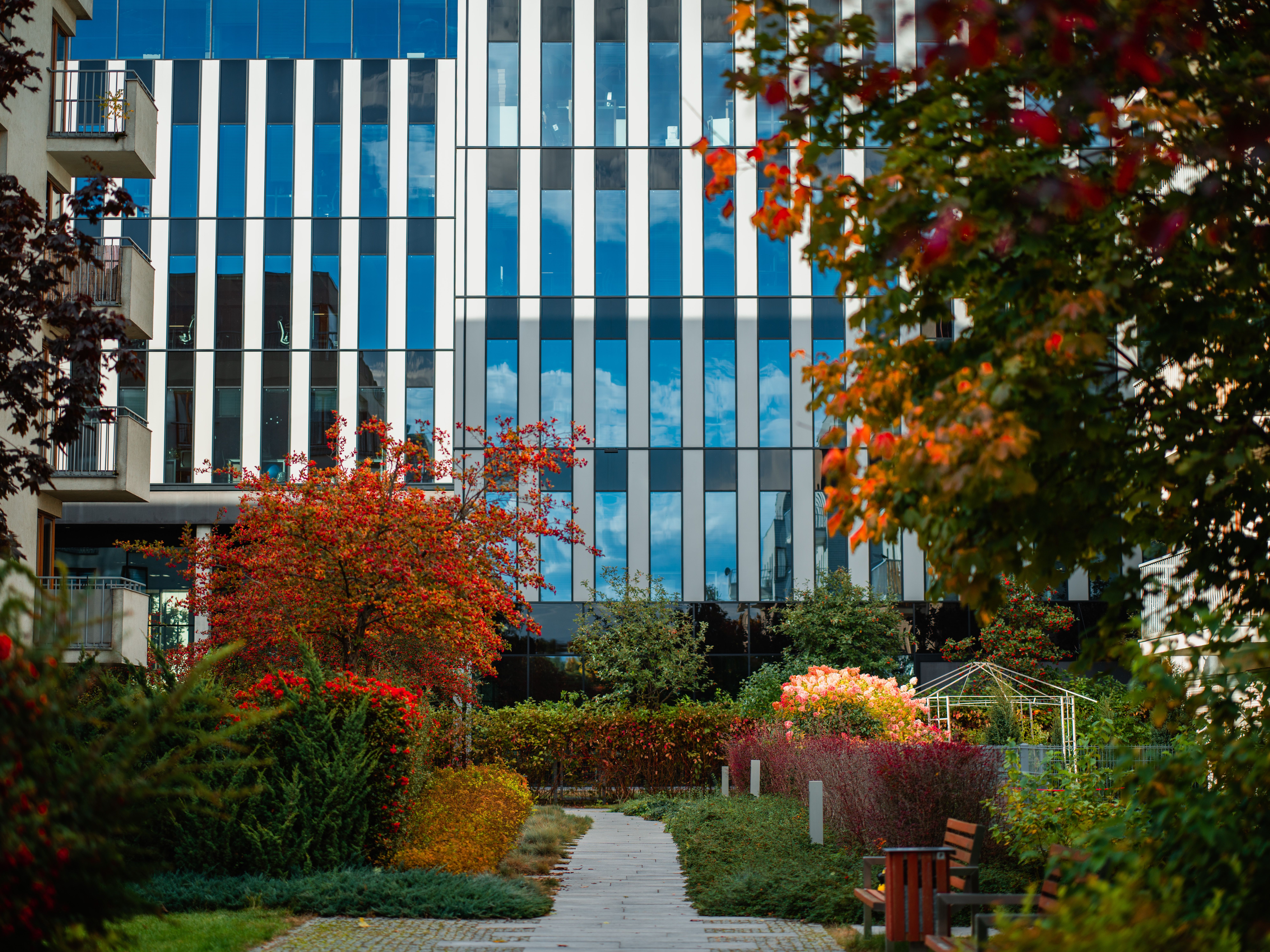 A modern office building facade seen through a colorful autumn garden.