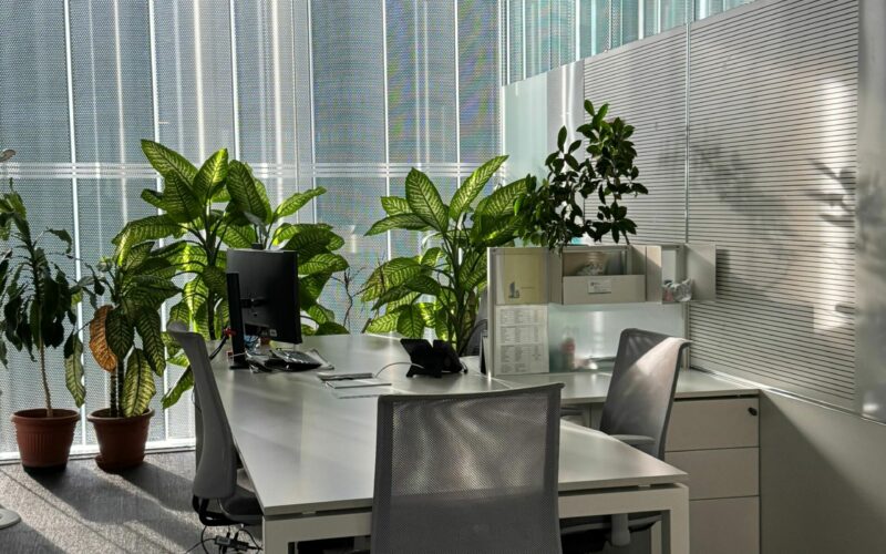 Bright, modern Milano office space with plants and natural light, perfect for productivity.
