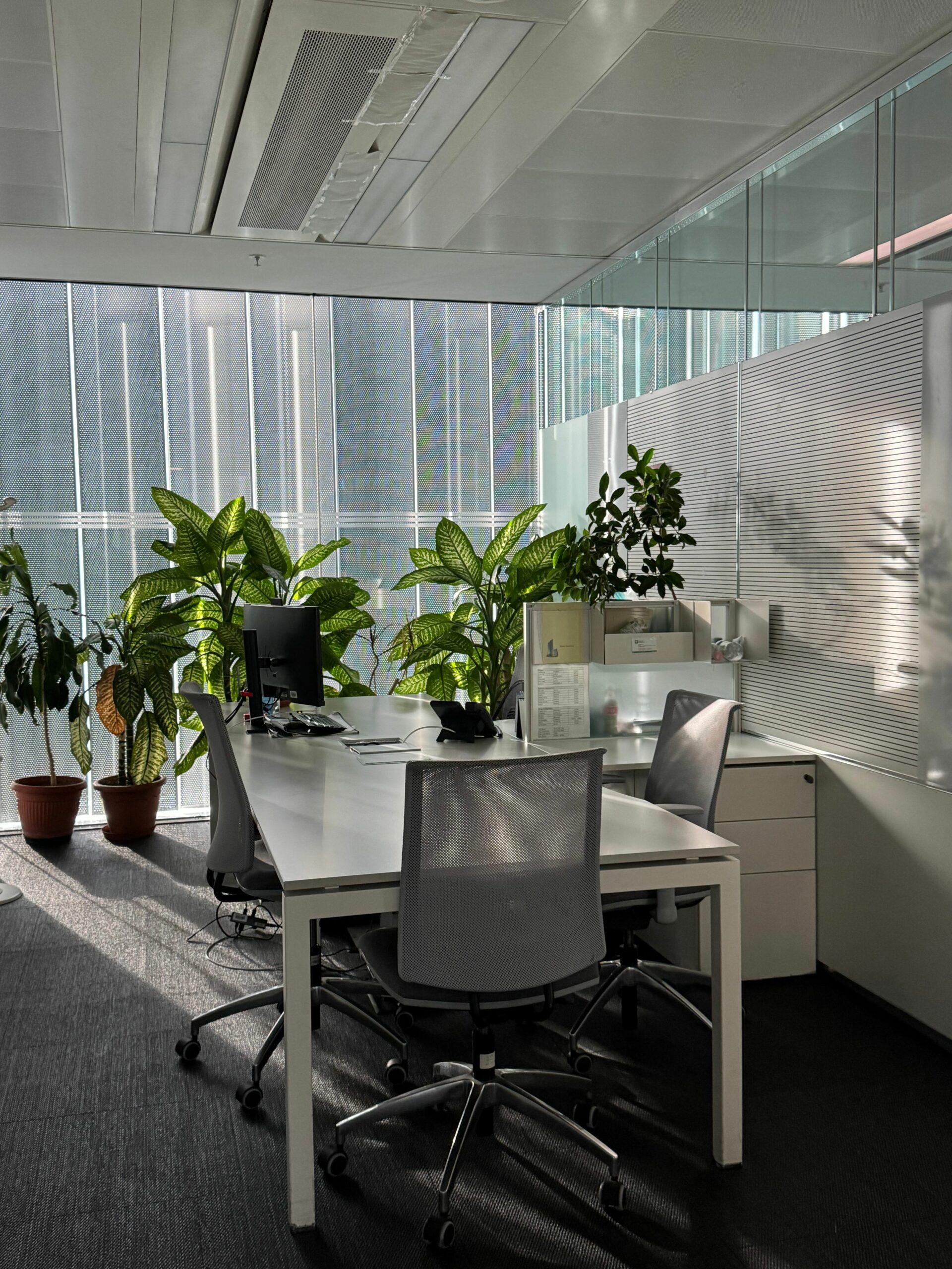 Bright, modern Milano office space with plants and natural light, perfect for productivity.